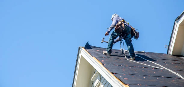 Best Metal Roofing Contractor  in Columbus, NC